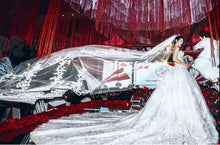 100-240V Remote control Double motor Flying wedding veils Romantic wedding props - Kesheng special effect equipment