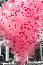 100% Biodegradable Tissue Safe Revealations Pink Gender Reveal Party Supplies Confetti Popper Powder Smoke Cannon