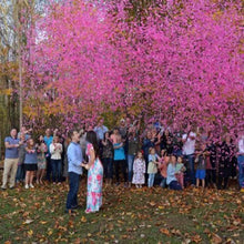 ECO-friendly Gender Reveal Confetti Cannon with Biodegradable Confetti and Powder for Baby Shower Party Supplies