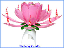 music candle flower candle birthday candle - Kesheng special effect equipment