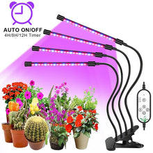 LED Grow Light USB Phyto Lamp Full Spectrum Fitolampy With Control For Plants Seedlings Flower Indoor Fitolamp Grow Box